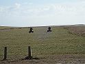 cadWeazle Energy 015